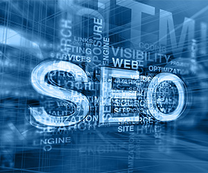 Web SEO - maximize search engine optimization for your web presence